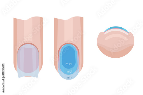 Nail care. Distribution of the base on the nail. Illustration for a manual for manicure. Vector illustration