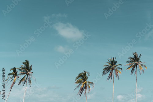 Minimal tropical coconut palm tree in summer with sky background. Copyspace you can put text on. Vintage film color tone.