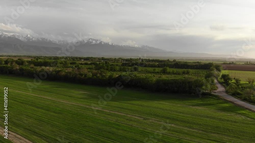 Flying over a beautiful green field. Jeep car is driving along the road. Countryside. Panorama of snowy peaks. Kazakhstan. Spring landscape.