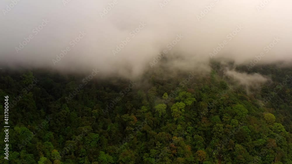 Drones flight over the jungle with rain clouds and fog near Uvita Costa Rica 4K Drones flight over the jungle with rain clouds and fog near Uvita Costa Rica 4K