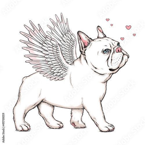 Cute french bulldog puppy with angel wings. Vector illustration in hand-drawn style. Stylish image for printing on any surface	