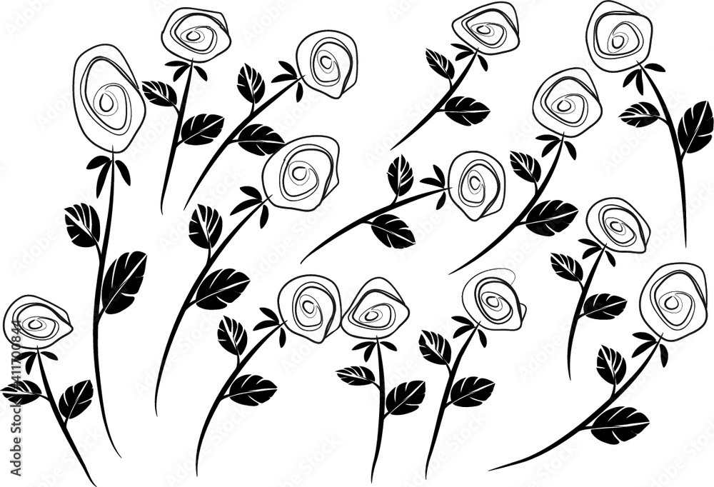Fototapeta vector drawing white rose background design