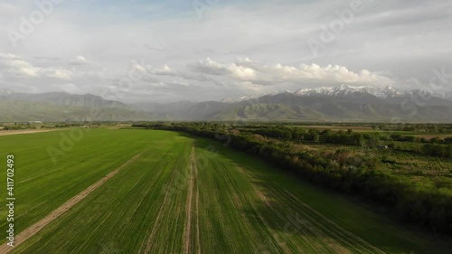 Beautiful green field in spring. Flight over the field. Panorama of the mountains. Spring countryside landscape.