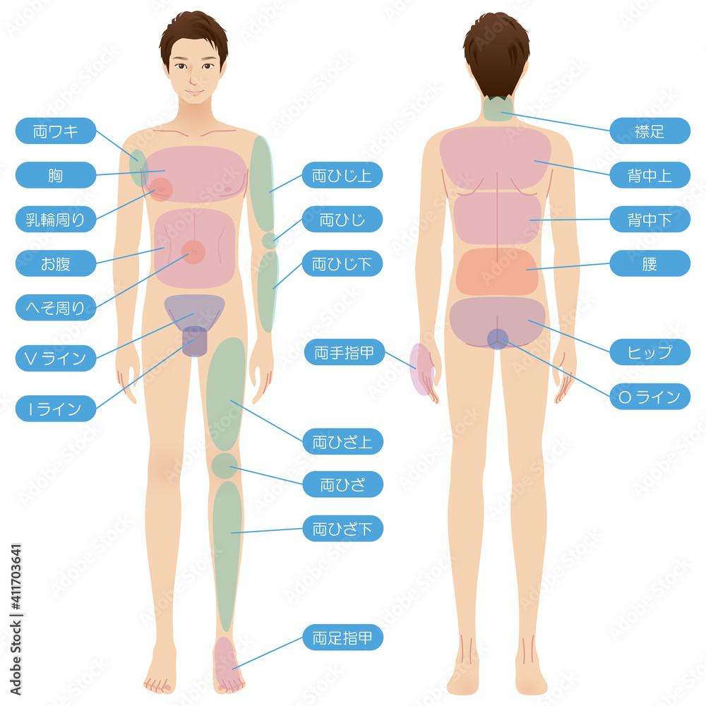 男性の身体脱毛箇所美容裸全身素材庫插圖| Adobe Stock