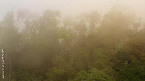 Wallpaper Mural Drones flight over the jungle with rain clouds and fog near Uvita Costa Rica 4K Torontodigital.ca