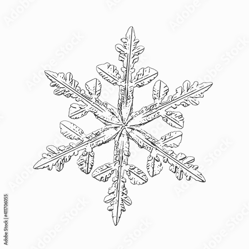 Snowflake isolated on white background. Vector illustration based on macro photo of real snow crystal: complex stellar dendrite with fine hexagonal symmetry, ornate shape and six thin, elegant arms.