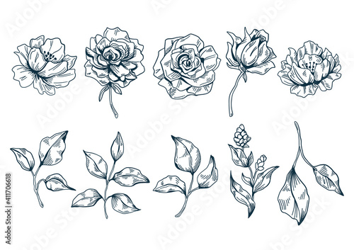 Flowers illustration 01 Blackline