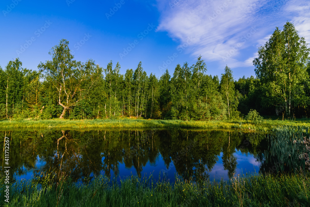 Obraz premium natural summer landscape with river in forest and green meadow
