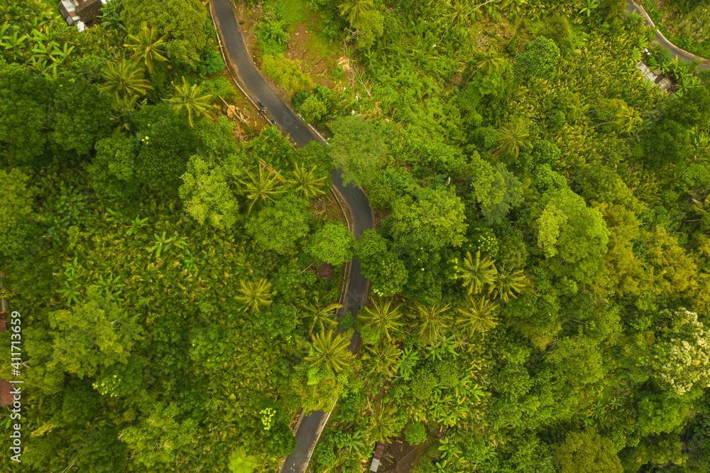 Top down overhead aerial view of asphalt road leading through lush green jungle Curved rural road through the rainforest