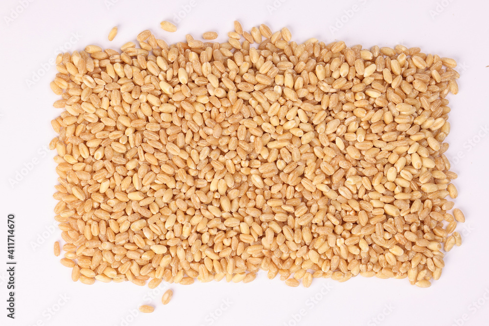 Wheat grain on white background Wheat grain on white background