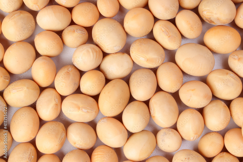 Soyabean pile on white background Soyabean pile on white background