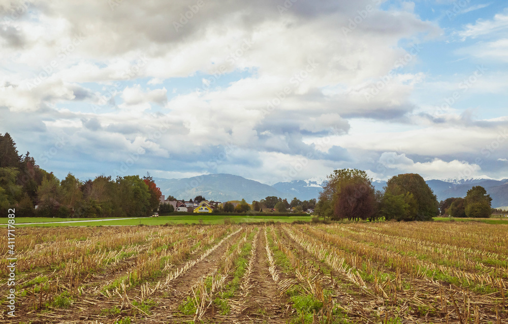 Rural land in Slovenia overlooking the Alps