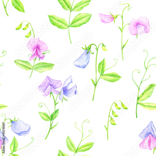 watercolor seamless pattern with drawing flowers of sweet peas