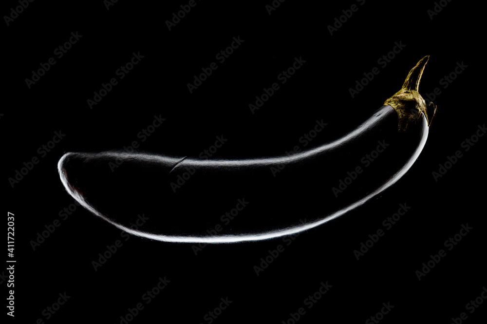 eggplant on a black background light along the contour eggplant on a black background light along the contour