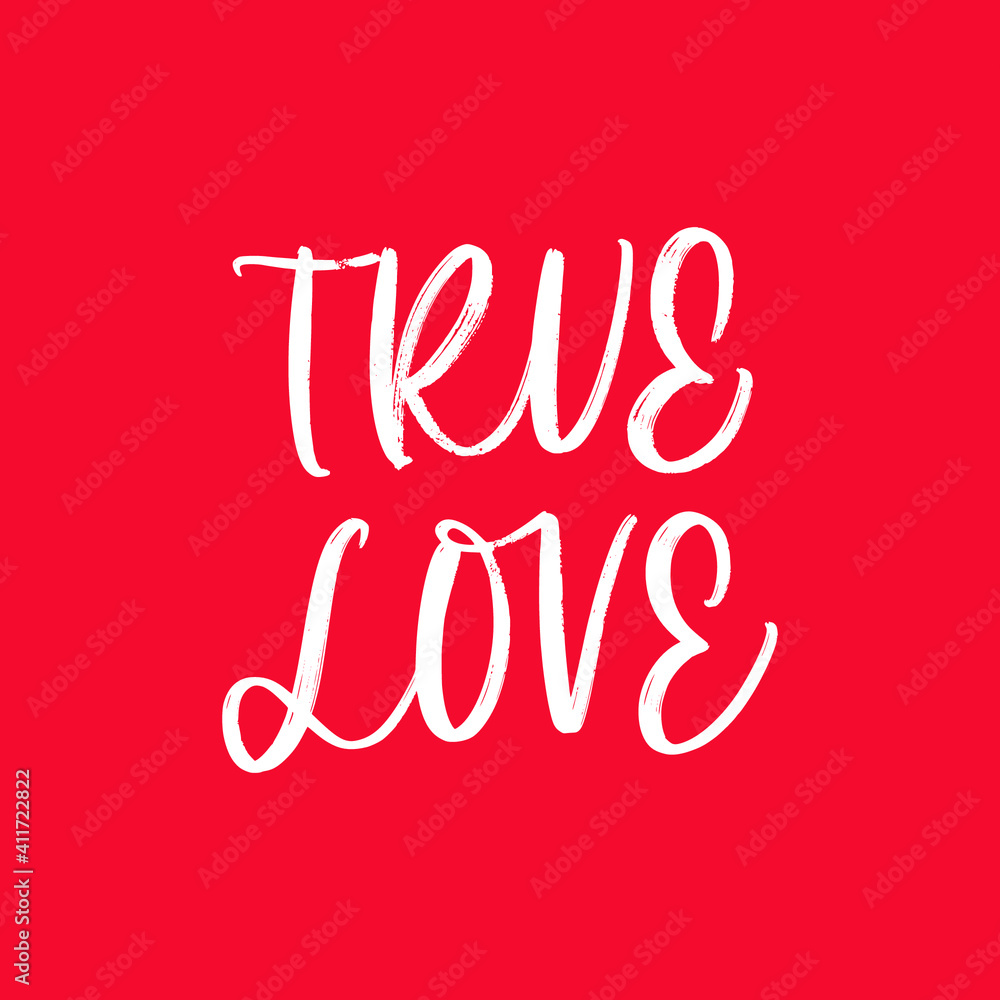TRUE LOVE. LOVE LETTERING WORDS. FOR ST VALENTINE'S DAY. VECTOR LOVELY GREETING HAND LETTERING TRUE LOVE. LOVE LETTERING WORDS. FOR ST VALENTINE'S DAY. VECTOR LOVELY GREETING HAND LETTERING