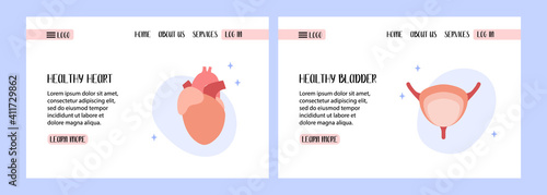 Human bladder. Urology. Human heart, cardiovascular system. Cardiology. Diagnostics of diseases. Vector flat illustration. Perfect for banner design, landing page