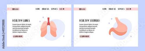 Human stomach. Gastroenterology. Human lungs, respiratory tract. Pulmonology. Diagnostics of diseases. Vector flat illustration. Perfect for banner design, landing page