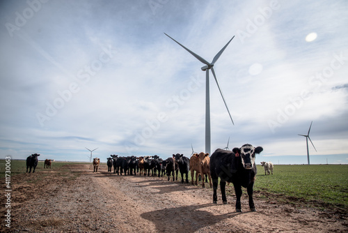 wind farm