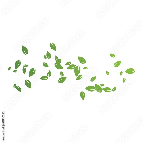 Leaves fall