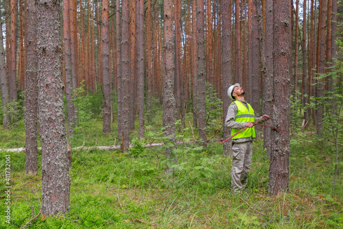 The forester works in the forest with a measuring tool. Real people work in forestry. © Sergei