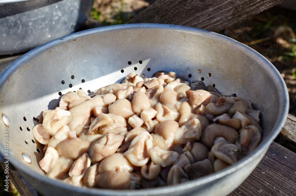 Fresh cooked mushrooms on a wooden background Fresh cooked mushrooms on a wooden background