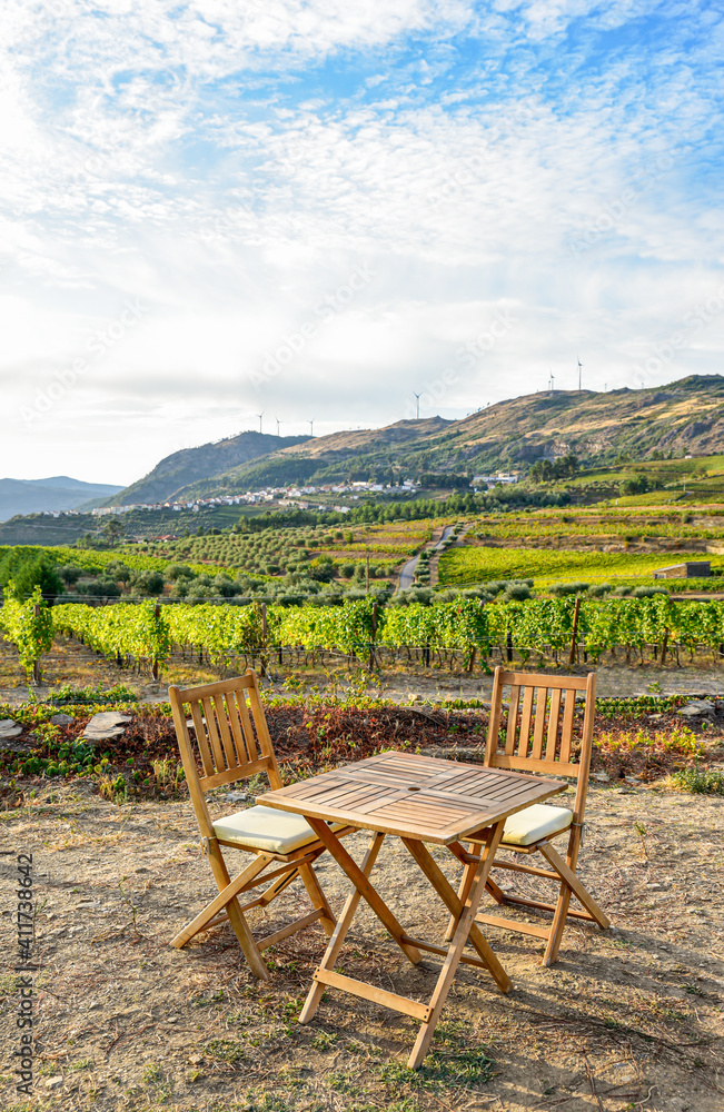 Table and chairs in a vineyard with a road in the background Table and chairs in a vineyard with a road in the background