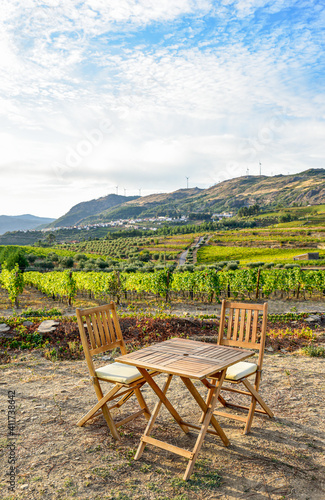 Table and chairs in a vineyard with a road in the background