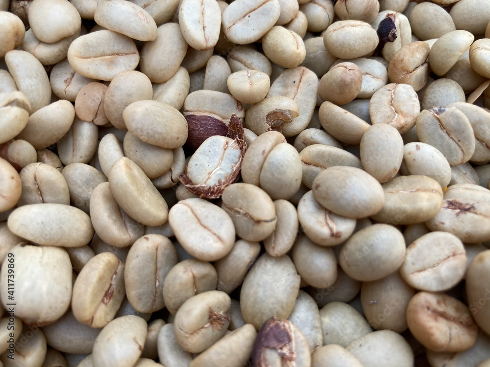 the closed up shot of green coffee beans in the dry process in daylight the closed up shot of green coffee beans in the dry process in daylight