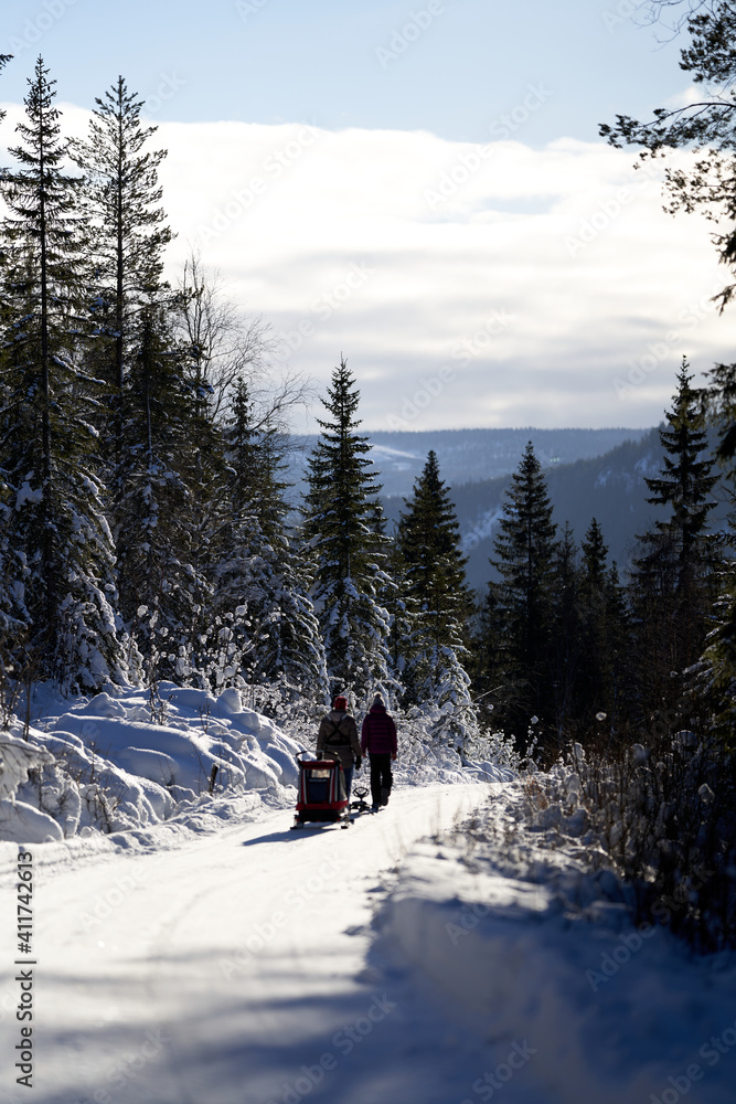 On the winter road is fun. Sledging is fun for the kids and the mother is pushing on. 