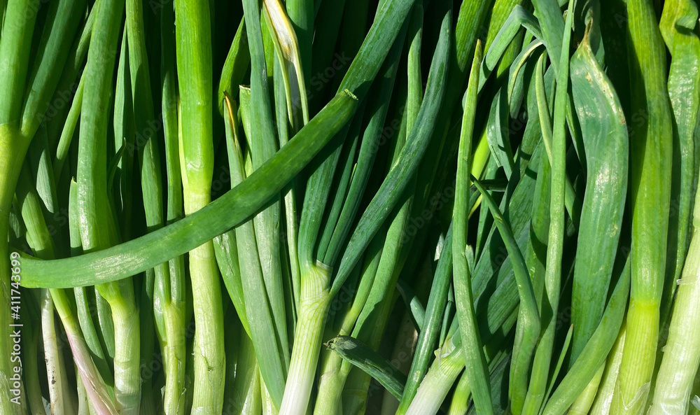 Fresh vegetables closeup. Background with scallions or green onions. Healthy eating Fresh vegetables closeup. Background with scallions or green onions. Healthy eating