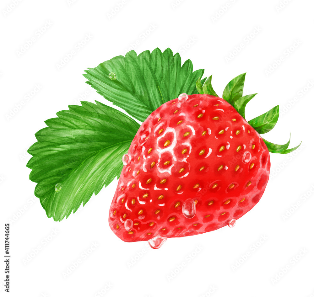 みずみずしいイチゴと2枚の葉のリアルなイラスト 水滴付き Stock イラスト Adobe Stock