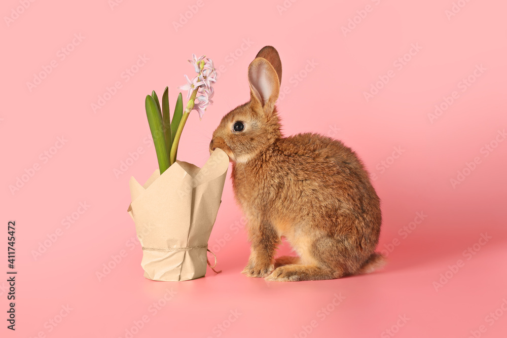 Cute fluffy rabbit with spring plant on color background Cute fluffy rabbit with spring plant on color background