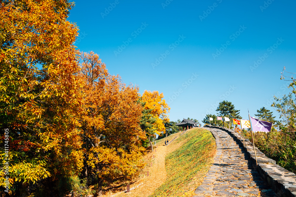 Naklejka premium Miryang Eupseong Fortress with autumn maple in Miryang, Korea