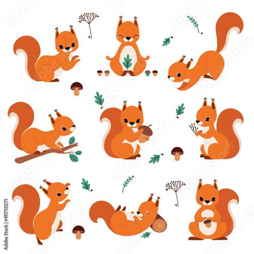 Cute Red Squirrel Holding Acorn and Sitting on Tree Branch Vector Set © topvectors