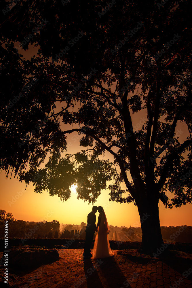 silhouette of wedding Couple in love kissing and holding hand together during sunset with evening sky background