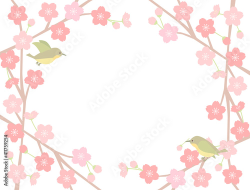 さくら126　桜 　鳥　小鳥
