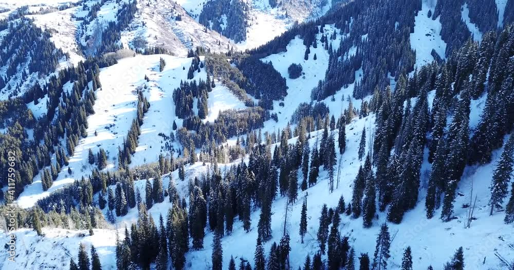 Video Stock Winter forest high in the mountains. Top view from the ...