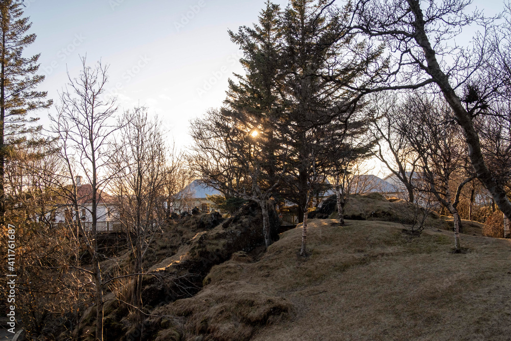 Wintersonne im Hellisgerði-Park in Hafnarfjörður / Winter sun in Hellisgerði Park in Hafnarfjörður Wintersonne im Hellisgerði-Park in Hafnarfjörður / Winter sun in Hellisgerði Park in Hafnarfjörður