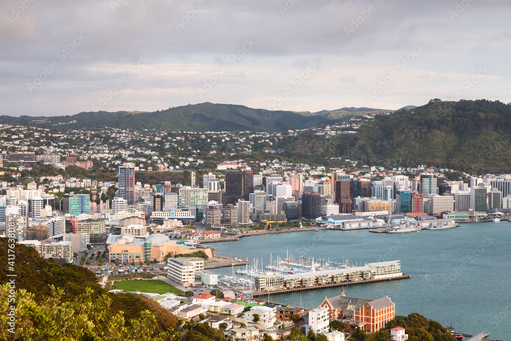 Elevated view of Wellington city and harbour at sunrise, New Zealand Elevated view of Wellington city and harbour at sunrise, New Zealand