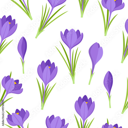 Vector seamless pattern of violet crocus flowers isolated on white. © uiliaaa