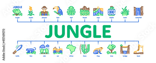 Jungle Tropical Forest Minimal Infographic Web Banner Vector. Jungle Tree And Animal, Waterfall And Wood, Flower And Bush, Boot And Car Color Illustration