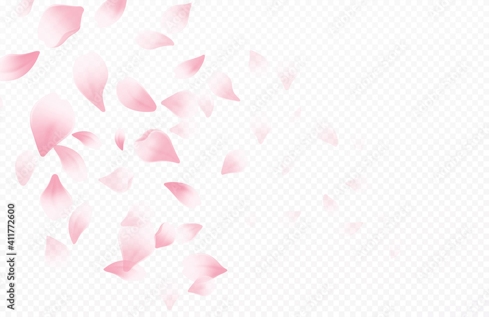 Spring time beautiful background with spring blooming cherry blossoms. Sakura flying petals isolated on white background. Vector illustration Spring time beautiful background with spring blooming cherry blossoms. Sakura flying petals isolated on white background. Vector illustration