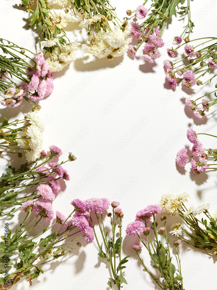 Beautiful small chrysanthemum flowers over white background