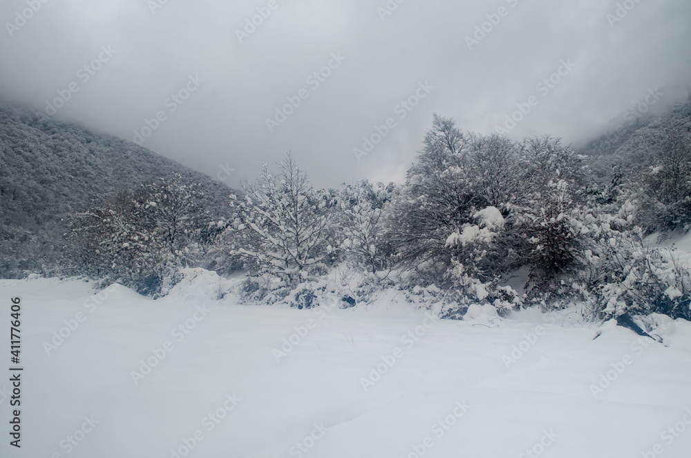 Fototapeta premium Winter trees in mountains covered with fresh snow. Beautiful landscape with branches of trees covered in snow. Mountain road in Caucasus. Azerbaijan