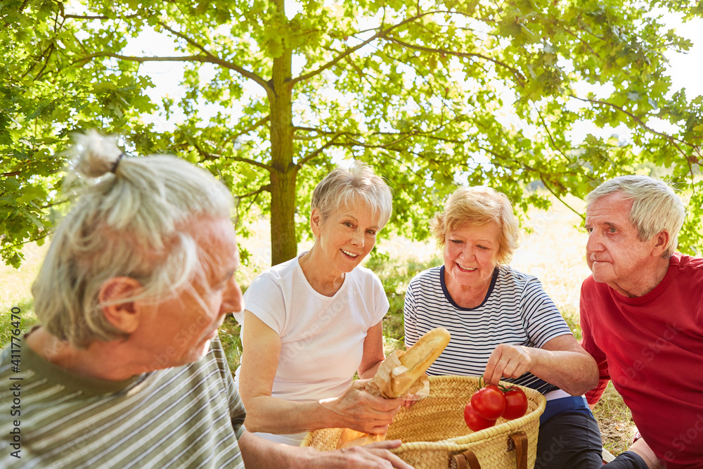 Senior group goes on a picnic excursion Stock Photo Adobe Stock