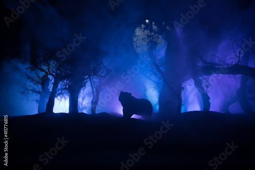 Horror view of big bear in forest at night. Angry bear behind the fire cloudy sky. The silhouette of a bear in foggy forest dark background © zef art