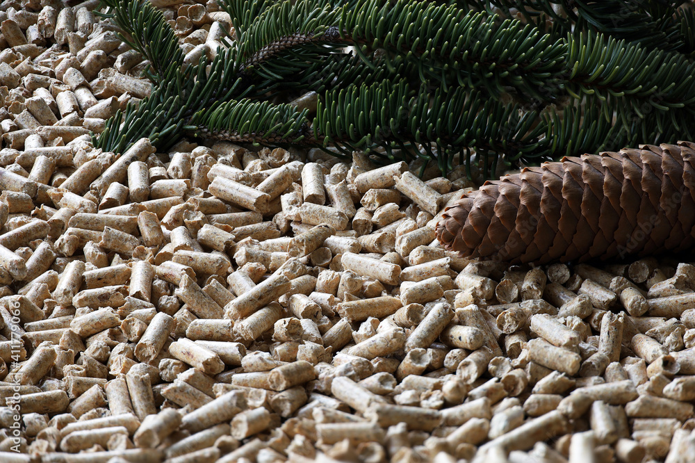 Obraz premium Regenerative Energie, Holzpellets