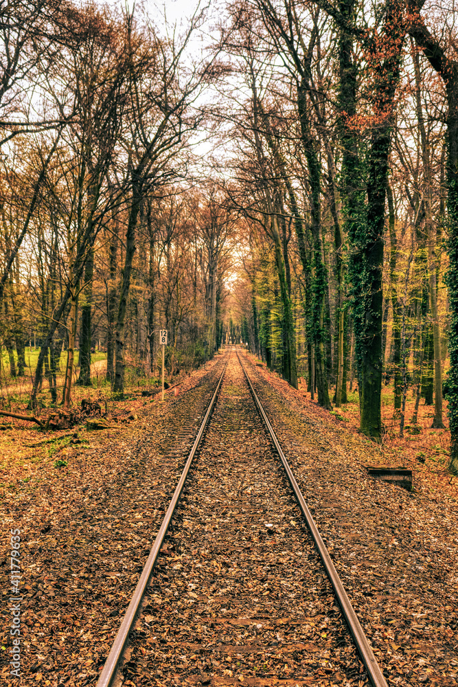Fototapeta premium Autumn Railroad