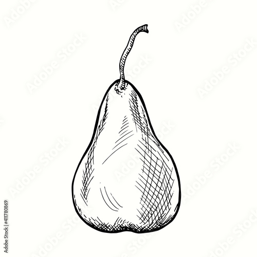 Hand drawn pear. Ink black and white drawing. Vector illustration