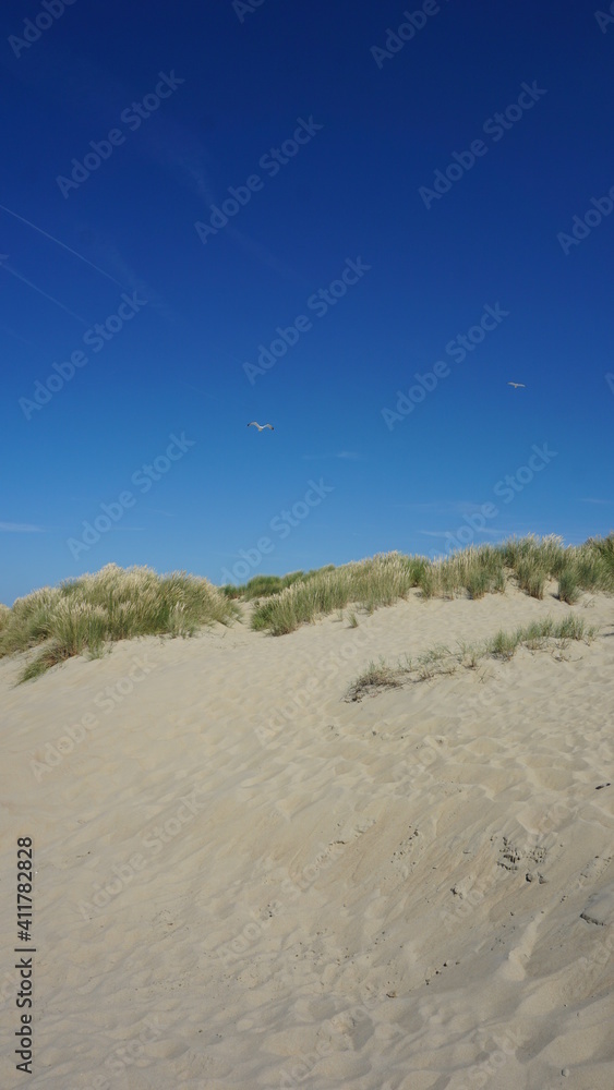 dunes in De Haan, Belgium, July dunes in De Haan, Belgium, July
